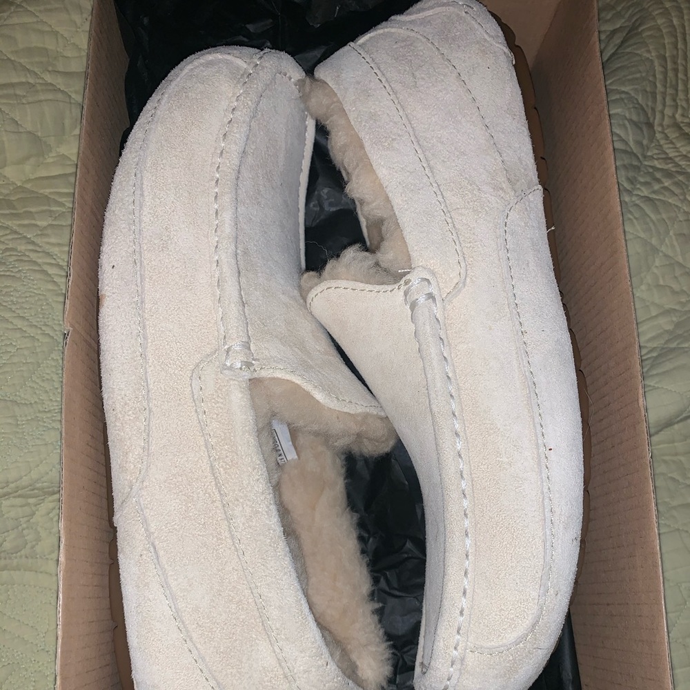Men’s Ugg Ascot